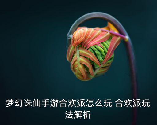 梦幻诛仙手游合欢派怎么玩 合欢派玩法解析