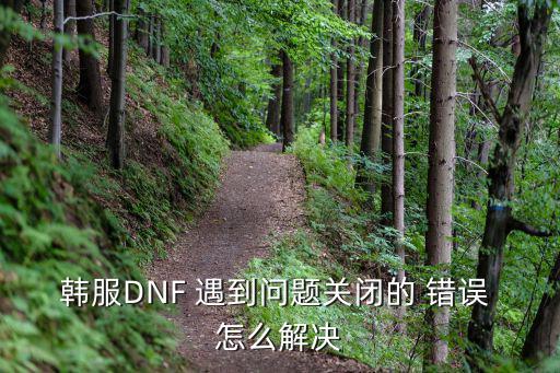 韩服DNF 遇到问题关闭的 错误 怎么解决