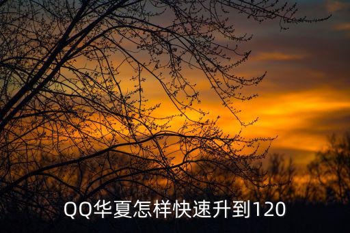 QQ华夏怎样快速升到120