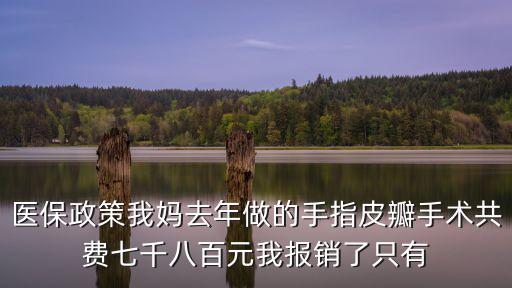 医保政策我妈去年做的手指皮瓣手术共费七千八百元我报销了只有