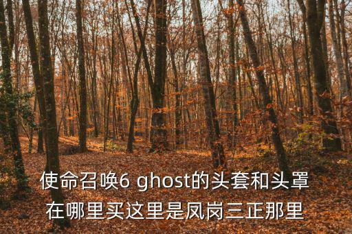 使命召唤6 ghost的头套和头罩在哪里买这里是凤岗三正那里