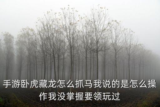 手游卧虎藏龙怎么抓马我说的是怎么操作我没掌握要领玩过