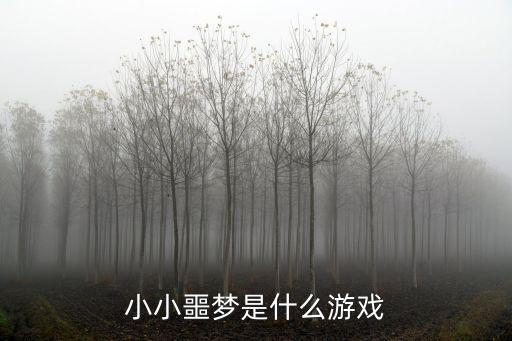 小小噩梦是什么游戏