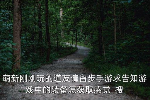 萌新刚刚玩的道友请留步手游求告知游戏中的装备怎获取感觉  搜