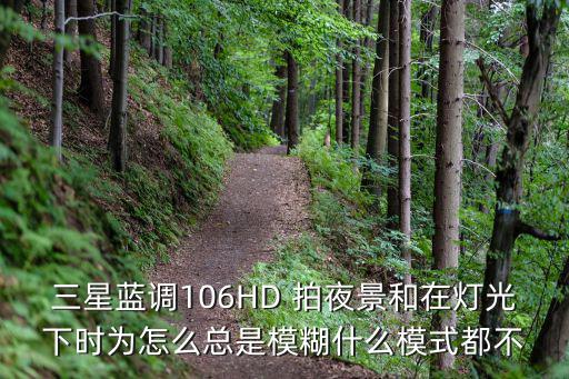 手游霓虹之夜塔姆怎么喂养，跪求D200 镜头2485 晚间拍摄设置参数