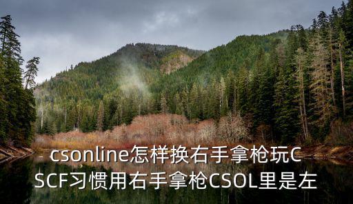 csonline怎样换右手拿枪玩CSCF习惯用右手拿枪CSOL里是左