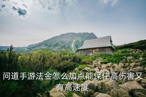 问道手游法金怎么加点能保住高伤害又有高速度