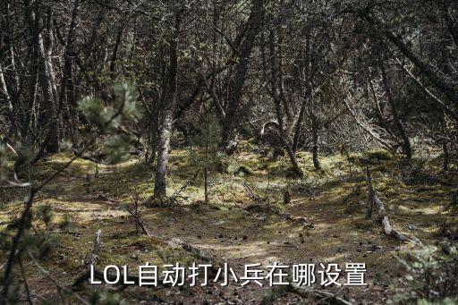 LOL自动打小兵在哪设置