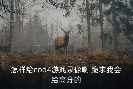 怎样给cod4游戏录像啊 跪求我会给高分的