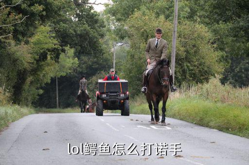 手游英雄联盟 鳄鱼怎么打诺手，鳄鱼怎样打诺手