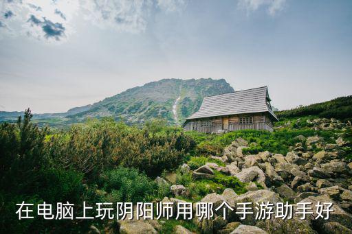 在电脑上玩阴阳师用哪个手游助手好