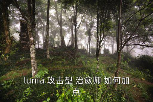 lunia 攻击型 治愈师 如何加点