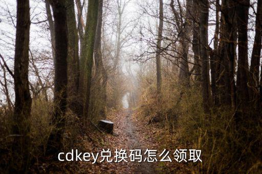 cdkey兑换码怎么领取