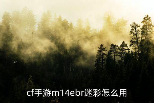 cf手游m14ebr迷彩怎么用