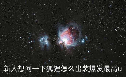 新人想问一下狐狸怎么出装爆发最高u