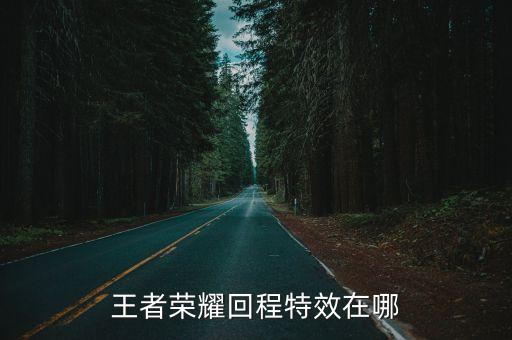 王者荣耀回程特效在哪