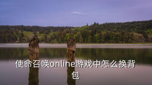 使命召唤online游戏中怎么换背包