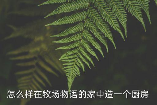 怎么样在牧场物语的家中造一个厨房