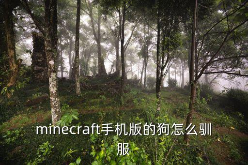 minecraft手机版的狗怎么驯服