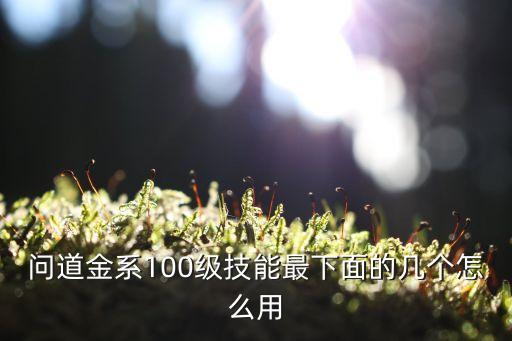 问道手游金系技能怎么用，问道金系100级技能最下面的几个怎么用