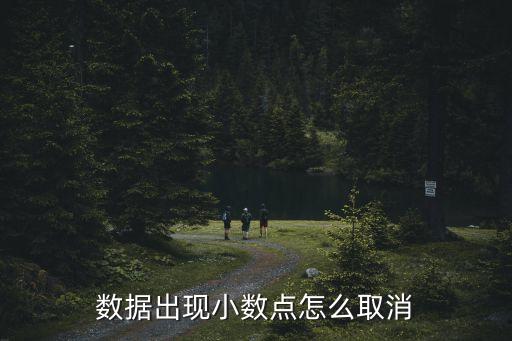 数据出现小数点怎么取消