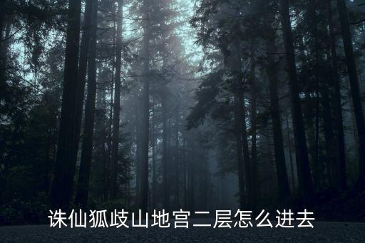 诛仙狐歧山地宫二层怎么进去