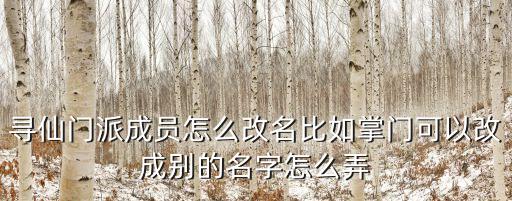 寻仙门派成员怎么改名比如掌门可以改成别的名字怎么弄