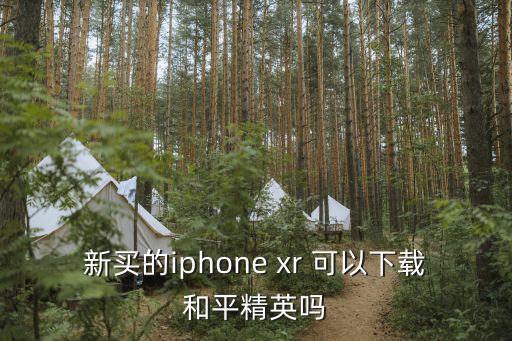 新买的iphone xr 可以下载和平精英吗