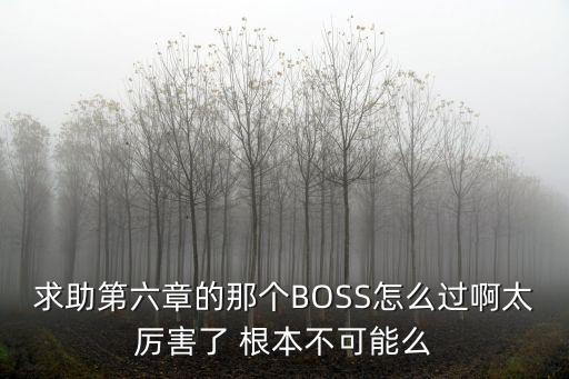 求助第六章的那个BOSS怎么过啊太厉害了 根本不可能么