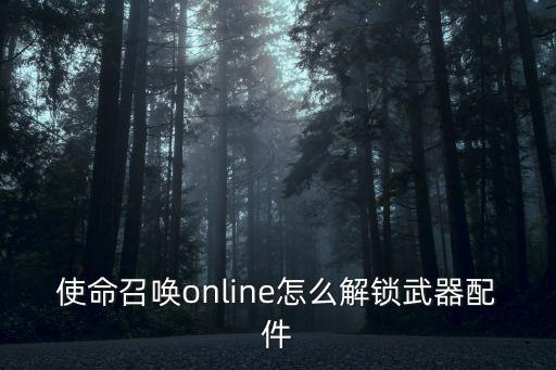 使命召唤online怎么解锁武器配件