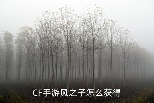 CF手游风之子怎么获得