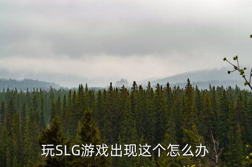 玩SLG游戏出现这个怎么办