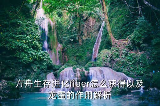 方舟生存进化fiber怎么获得以及龙蛋的作用解析