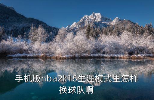 手机版nba2k16生涯模式里怎样换球队啊