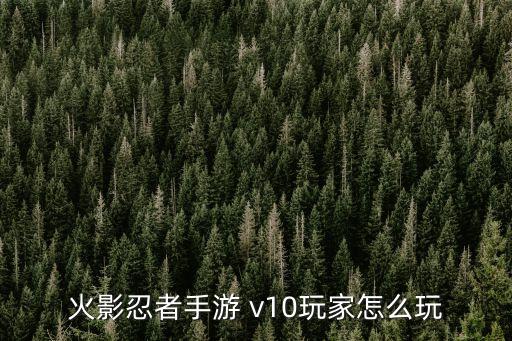 火影忍者手游 v10玩家怎么玩