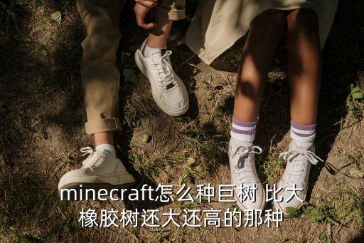 minecraft怎么种巨树 比大橡胶树还大还高的那种