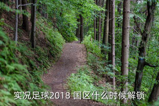 实况足球2018 国区什么时候解锁