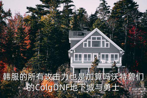 韩服的所有攻击力也是加算吗沃特碧们的ColgDNF地下城与勇士