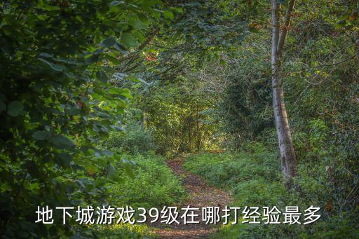 地下城韩服手游39层怎么过，地下城与勇士39级去哪打经验多