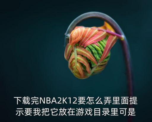 下载完NBA2K12要怎么弄里面提示要我把它放在游戏目录里可是