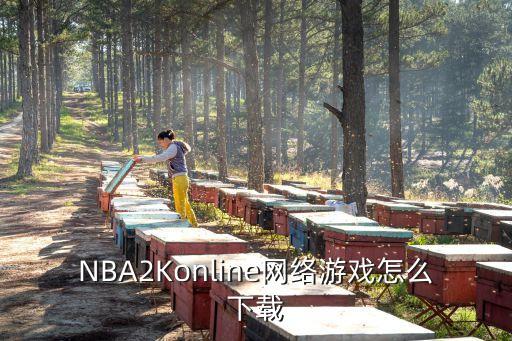 NBA2Konline网络游戏怎么下载