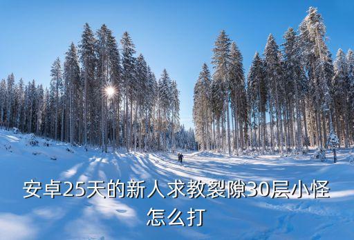 安卓25天的新人求教裂隙30层小怪怎么打