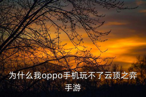 为什么我oppo手机玩不了云顶之弈手游