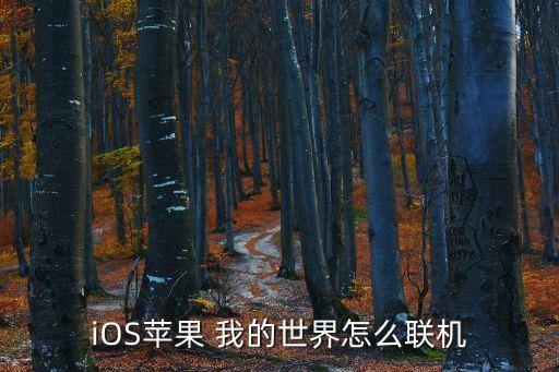 iOS苹果 我的世界怎么联机