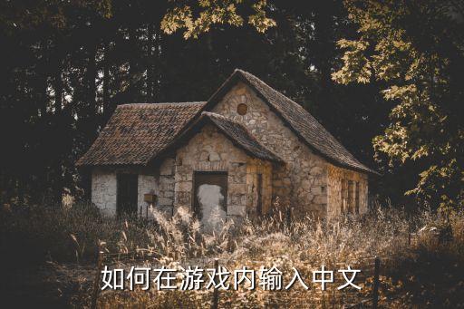 如何在游戏内输入中文