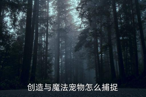 创造与魔法宠物怎么捕捉