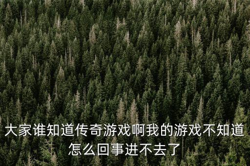 大家谁知道传奇游戏啊我的游戏不知道怎么回事进不去了