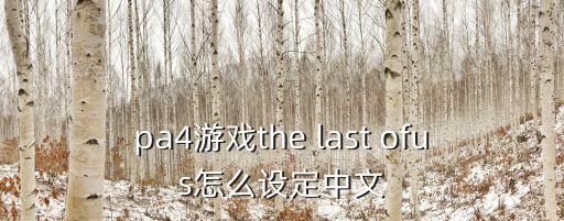 pa4游戏the last ofus怎么设定中文