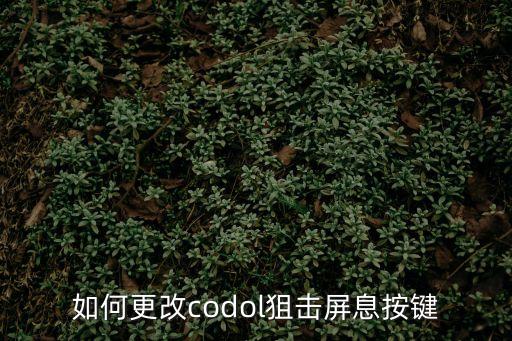 如何更改codol狙击屏息按键