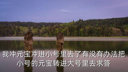 我冲元宝冲进小号里去了有没有办法把小号的元宝转进大号里去求答